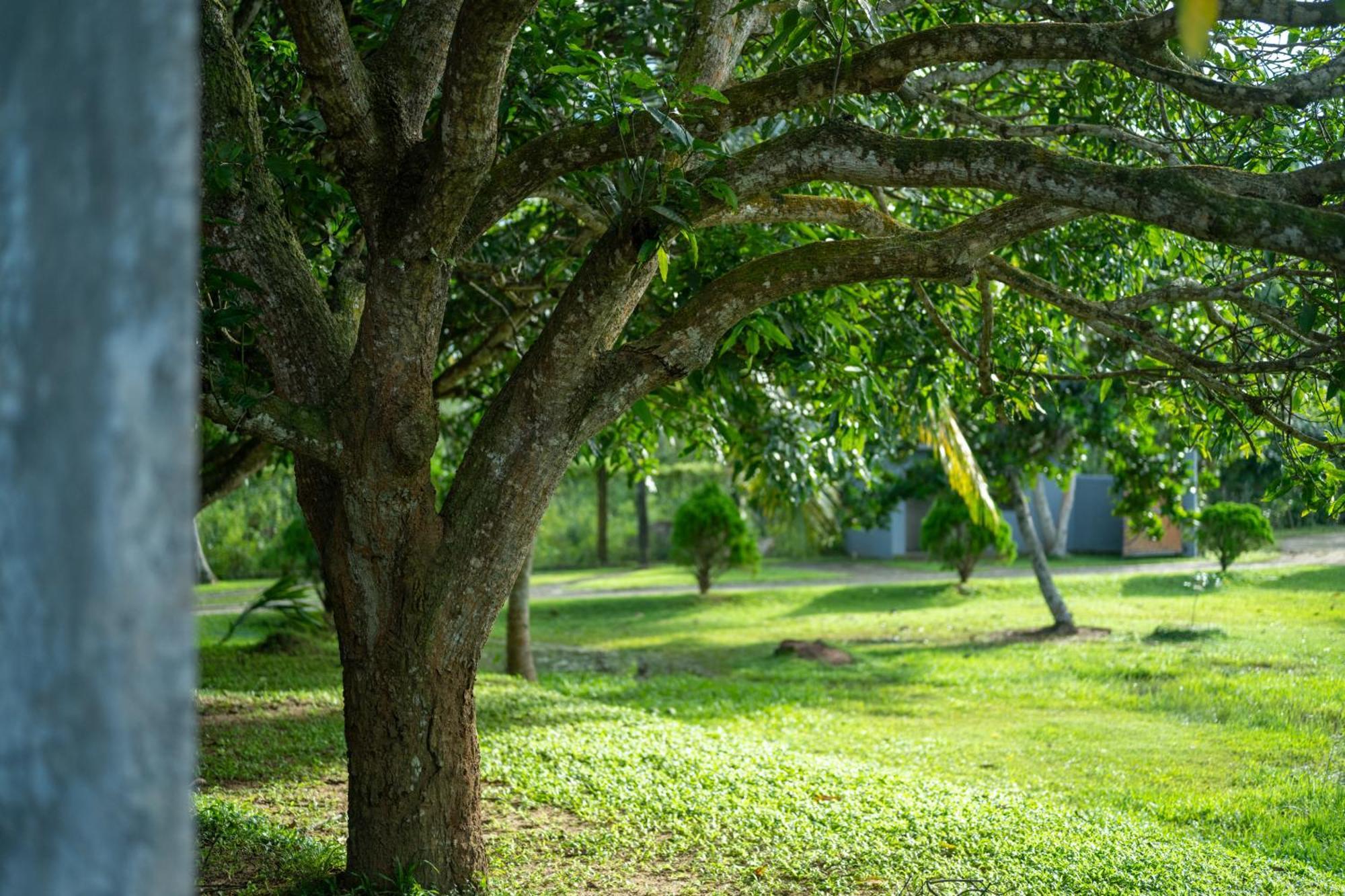 Wirdana Resort&Spa Boossa Bagian luar foto